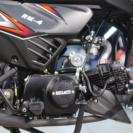 Мопед Regulmoto Alpha (RM-4) (Матовый черный, , 301107-1)