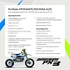 Питбайк PitonMoto PX3 110EA 14/12