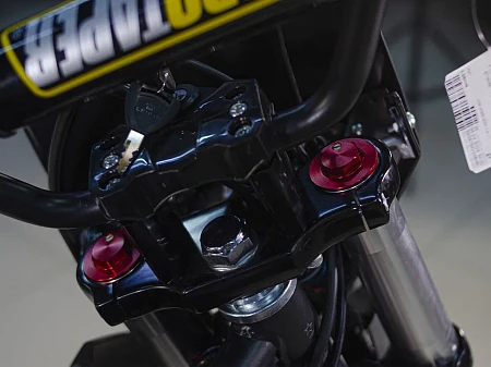 Питбайк PitonMoto PX6 125EM 17/14