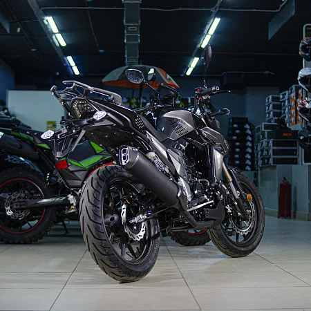 Мотоцикл Regulmoto T-Leopard 300 (Черный, , 100015-3)