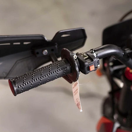 Питбайк PitonMoto PX6 125EA 17/14