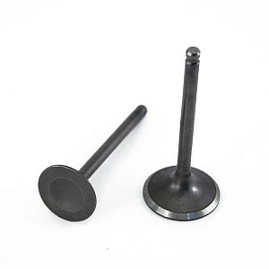 Клапаны (компл. 2шт) 4T 157QMJ 150сс стандартные d=24/28  SCOOTER-M